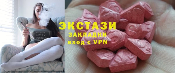 индика Няндома