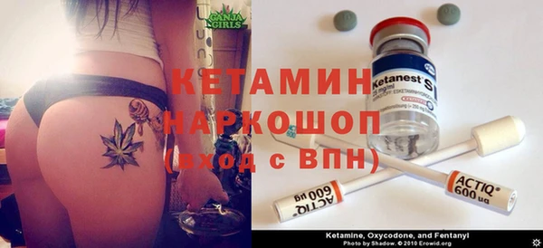 индика Няндома