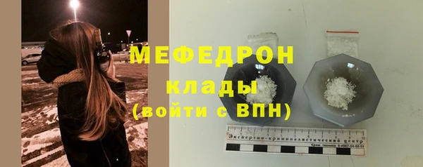 индика Няндома