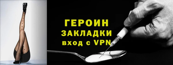 индика Няндома