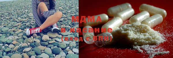 индика Няндома